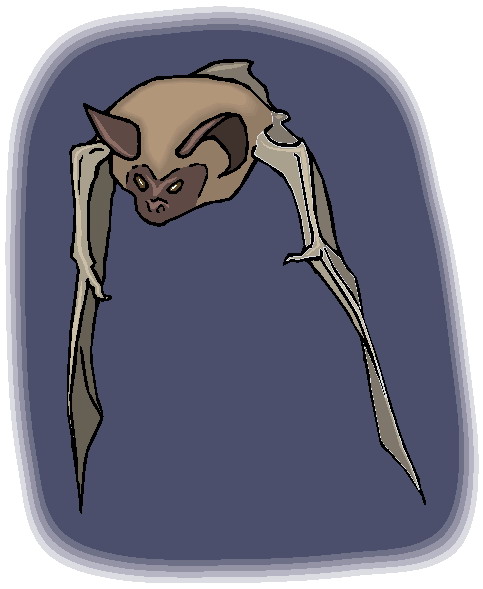 Bats clip art