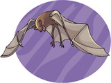 Bats clip art