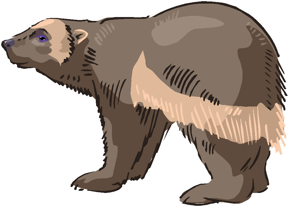 Bears clip art