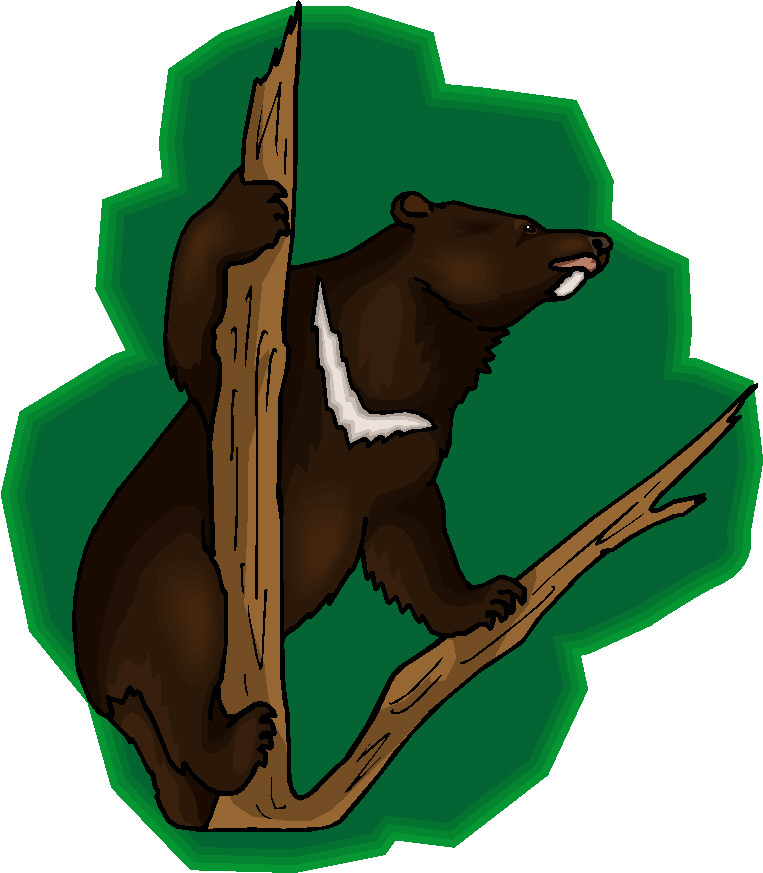 Bears clip art