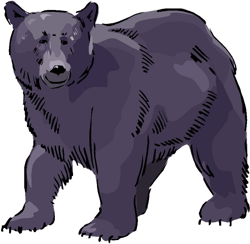 Bears clip art