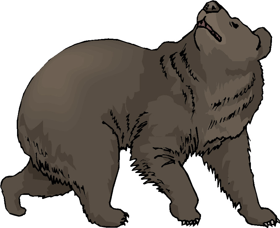 Bears clip art