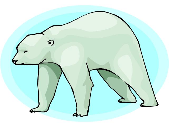 Bears clip art