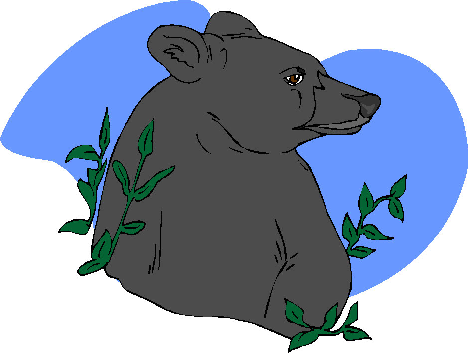 Bears clip art