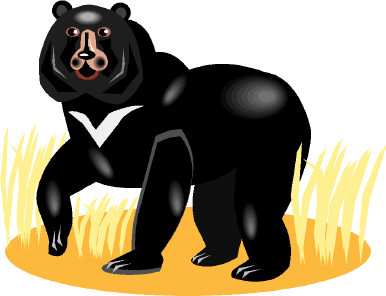 Bears clip art
