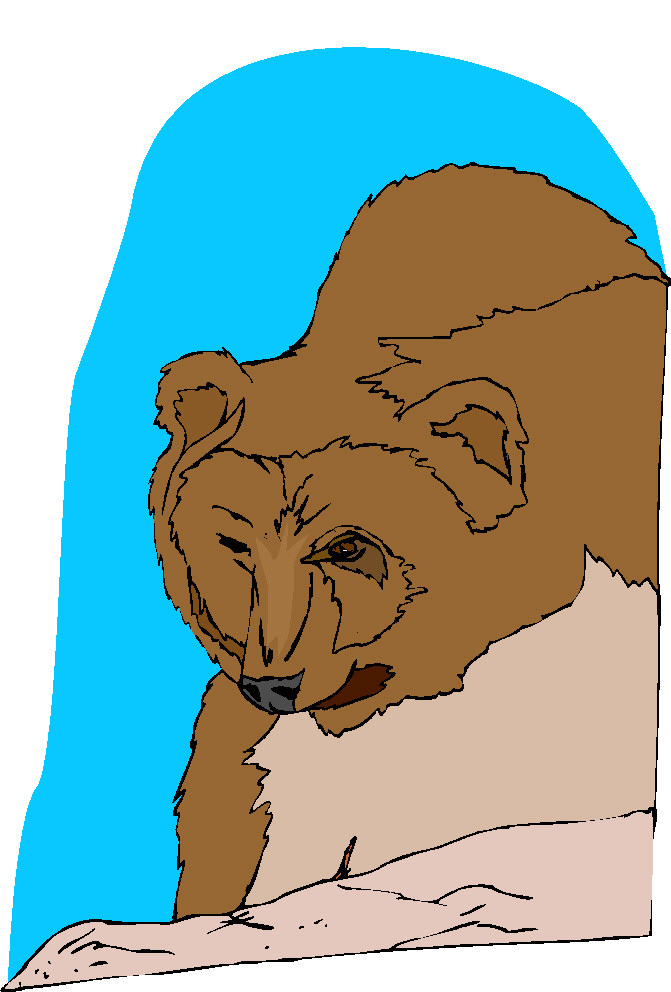 Bears clip art