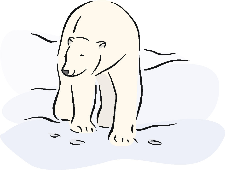 Bears clip art