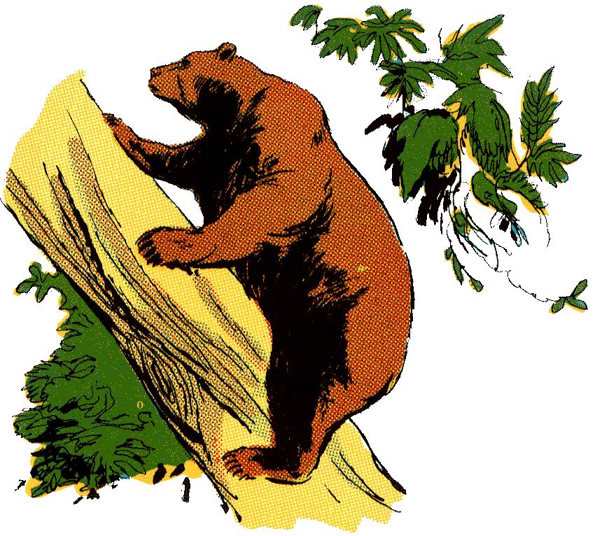 Bears clip art