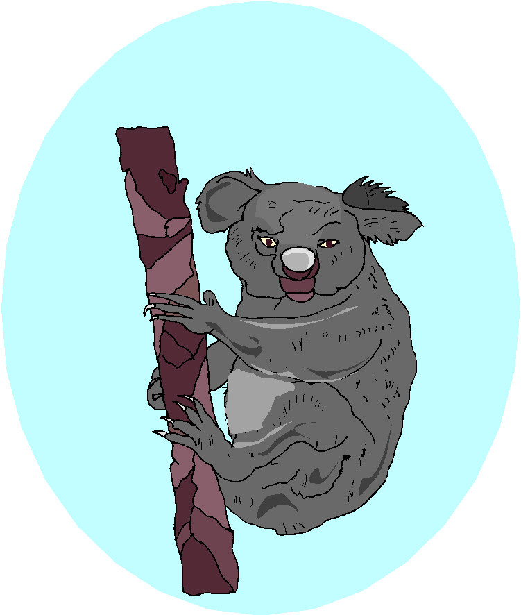 Bears clip art