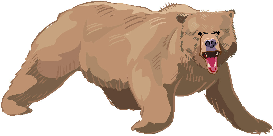 Bears clip art