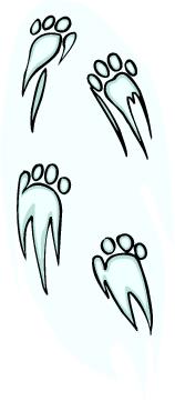 Bears clip art