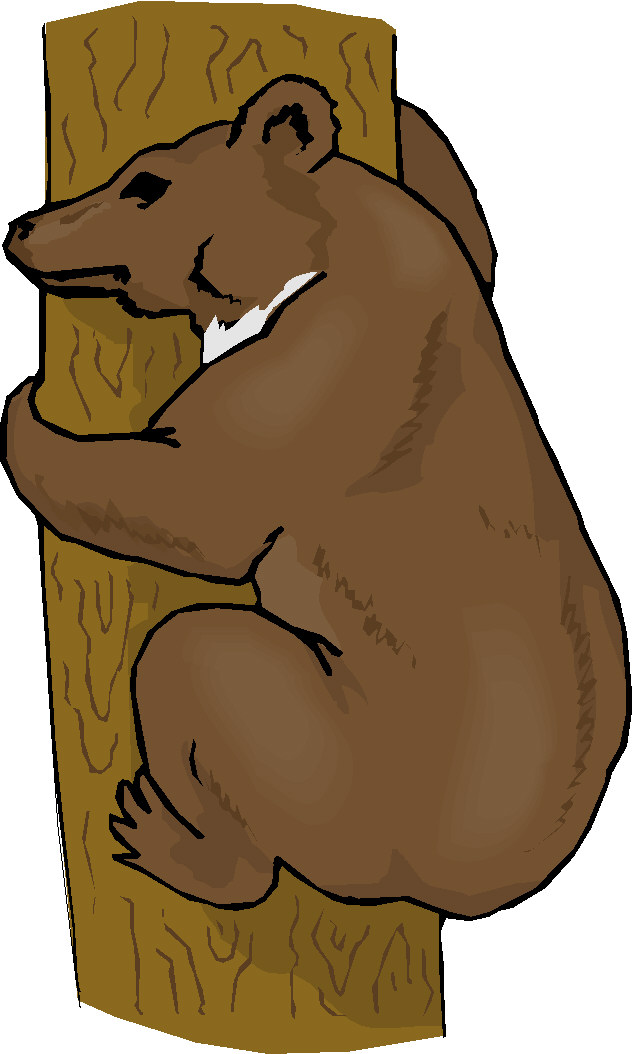 Bears clip art