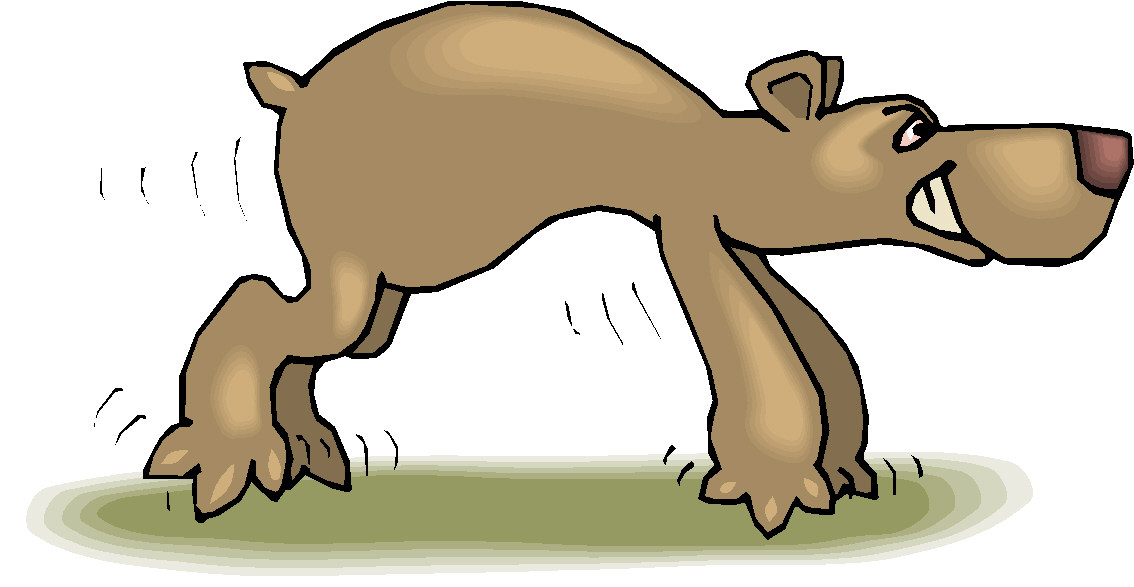 Bears clip art