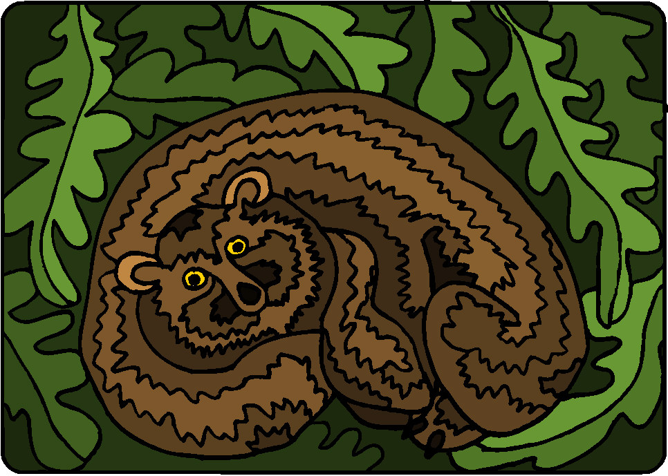 Bears clip art