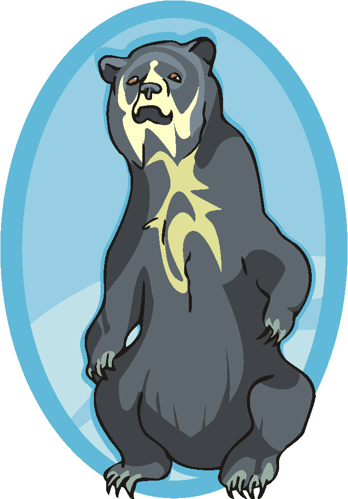 Bears clip art