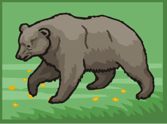 Bears clip art