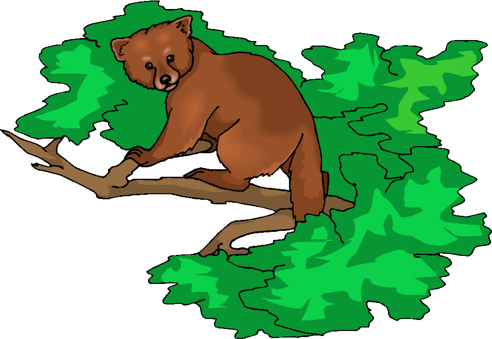 Bears clip art