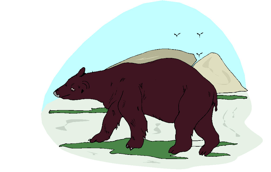 Bears clip art