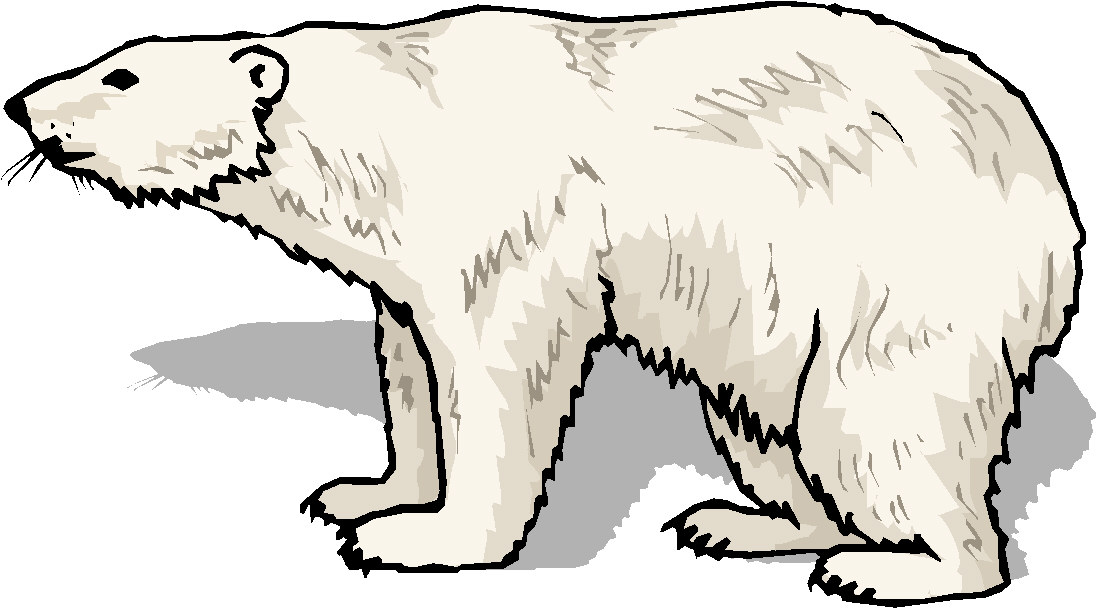 Bears clip art