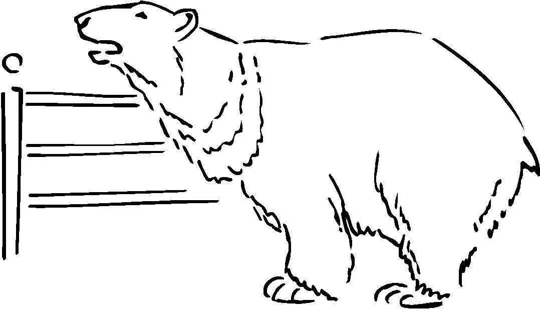 Bears clip art