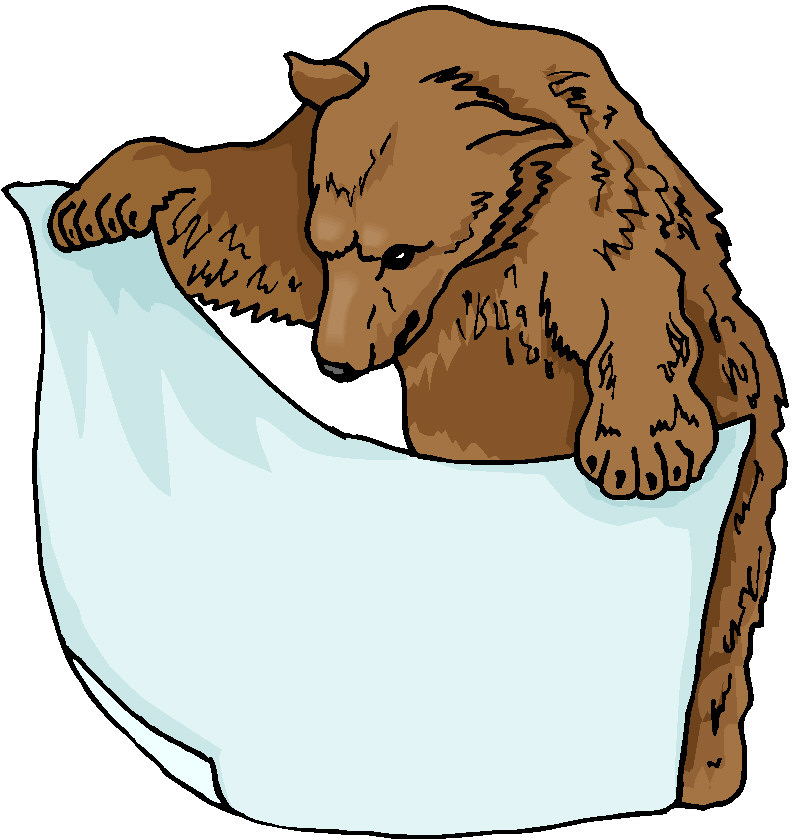 Bears clip art