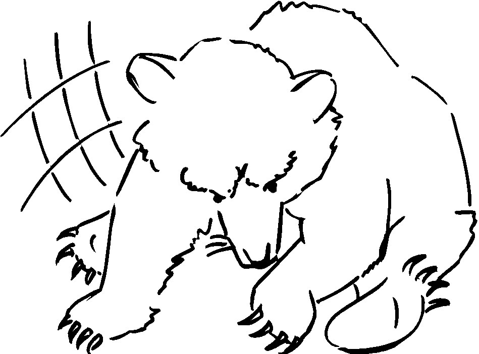 Bears clip art