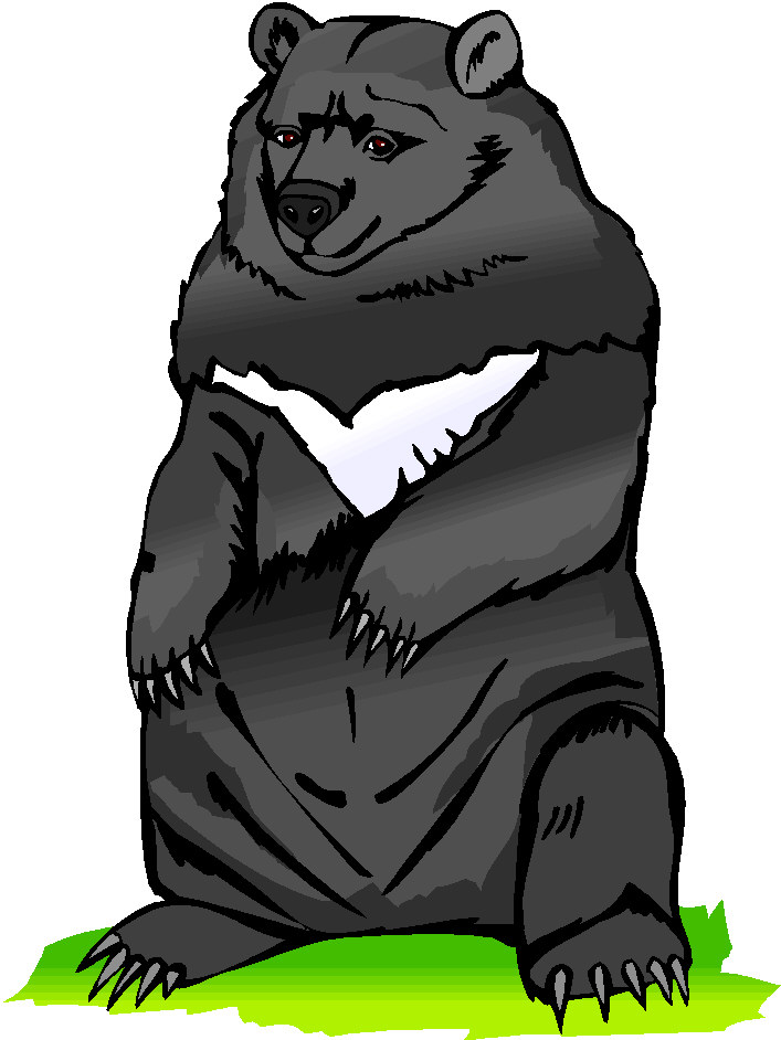 Bears clip art