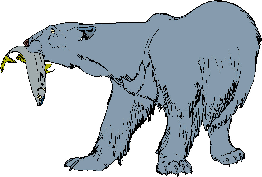 Bears clip art