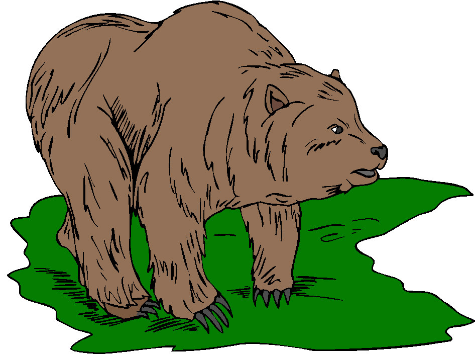 Bears clip art