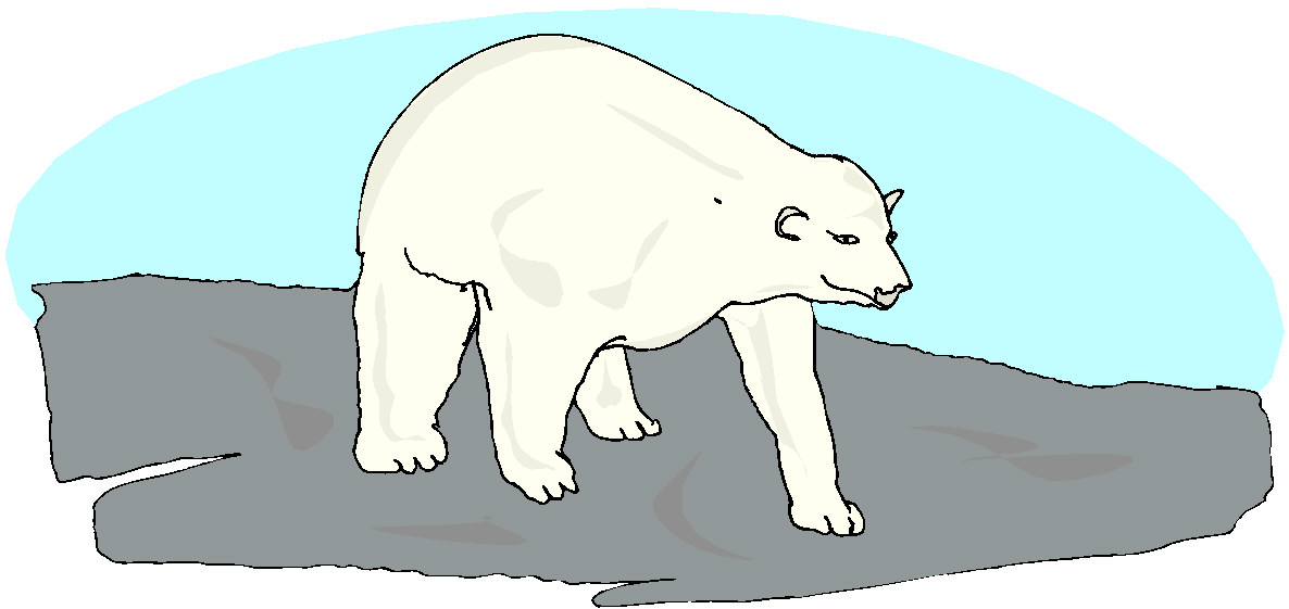 Bears clip art