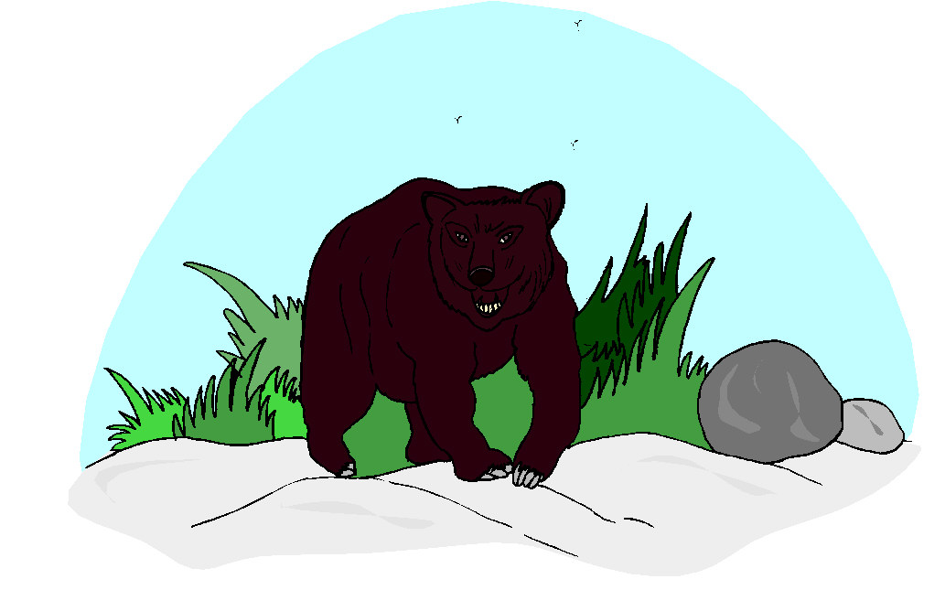 Bears clip art