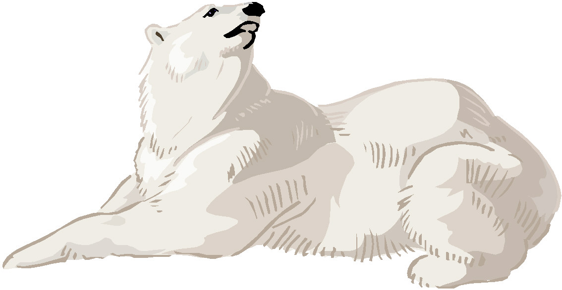 Bears clip art