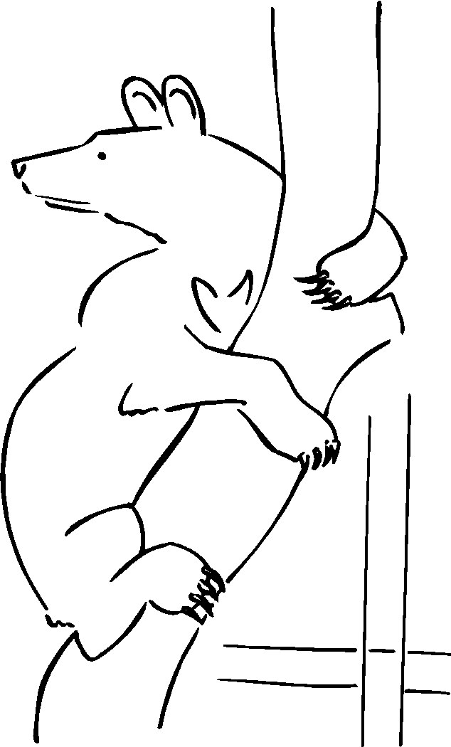 Bears clip art