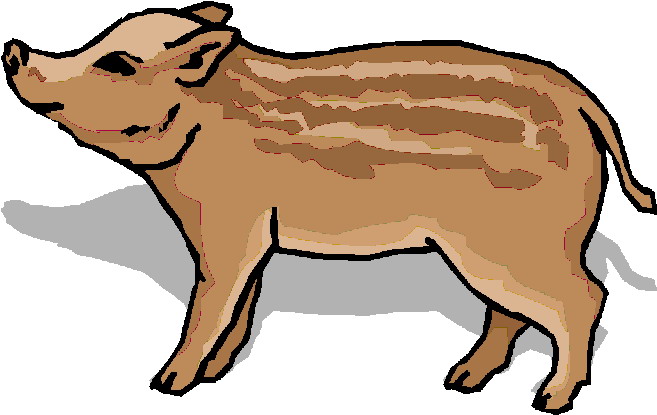 Boars clip art