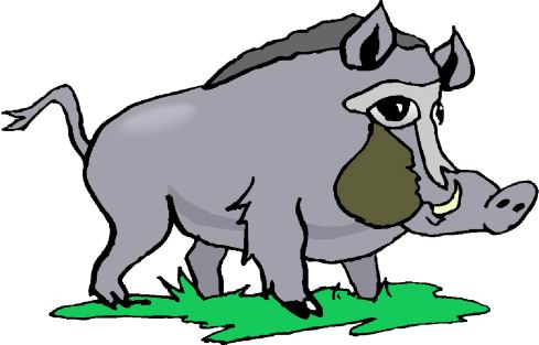 Boars clip art