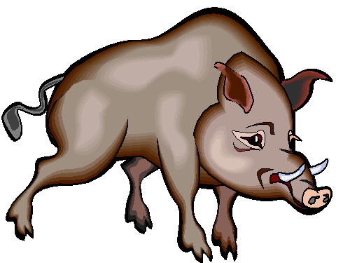 Boars clip art