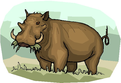 Boars clip art