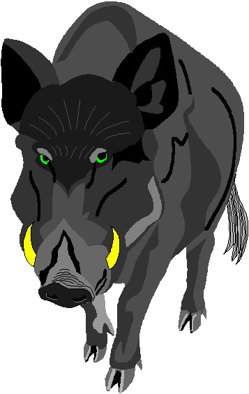 Boars clip art