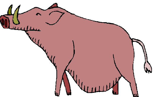 Boars clip art