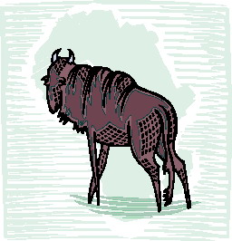 Buffaloes clip art