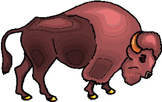 Buffaloes clip art