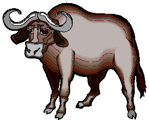 Buffaloes clip art