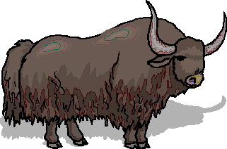 Buffaloes clip art