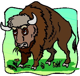 Buffaloes clip art