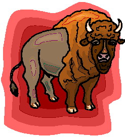 Buffaloes clip art