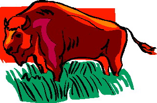 Buffaloes clip art