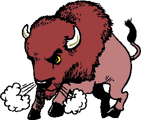 Buffaloes clip art