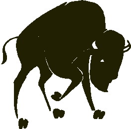 Buffaloes clip art