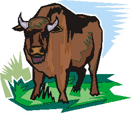 Buffaloes clip art