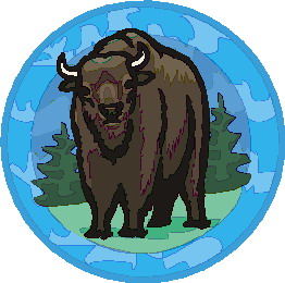 Buffaloes clip art